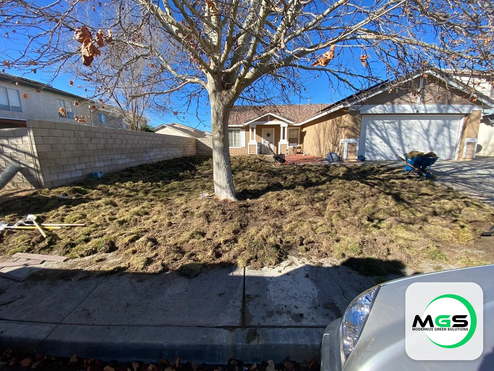 Landscaping project by Modernize Green Solutions in South Florida
