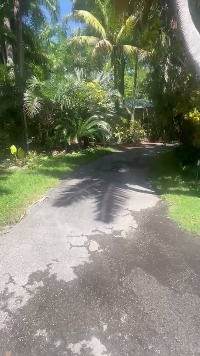 Before: the original asphalt drive, cracked and worn, curving through heavy planting.