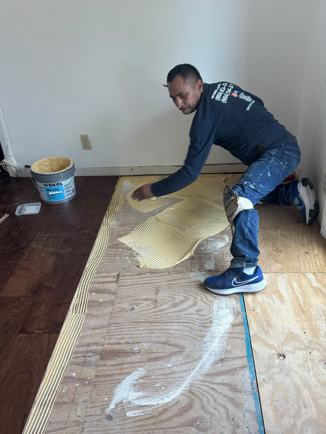 Adhesive combed across the plywood subfloor, the old dark floor still visible at the edge.